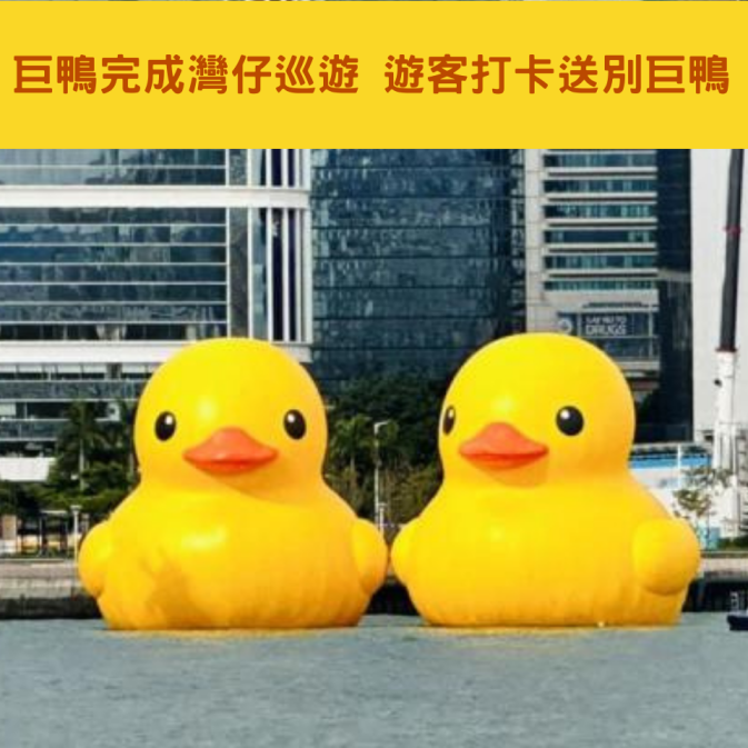 巨鴨完成灣仔巡遊 遊客打卡送別巨鴨